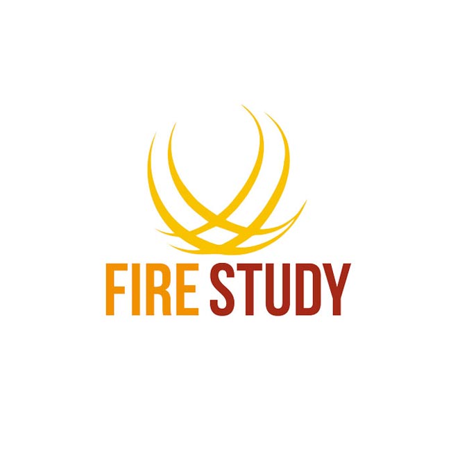 FIRE STUDY